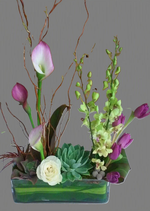 Designers Choice