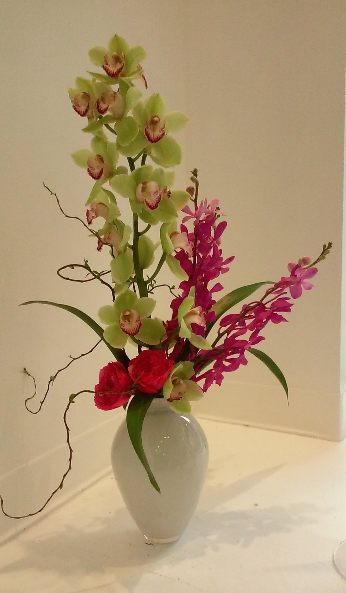 Orchids