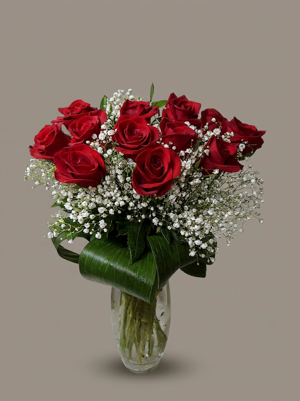 One Dozen Roses with Baby's Breath