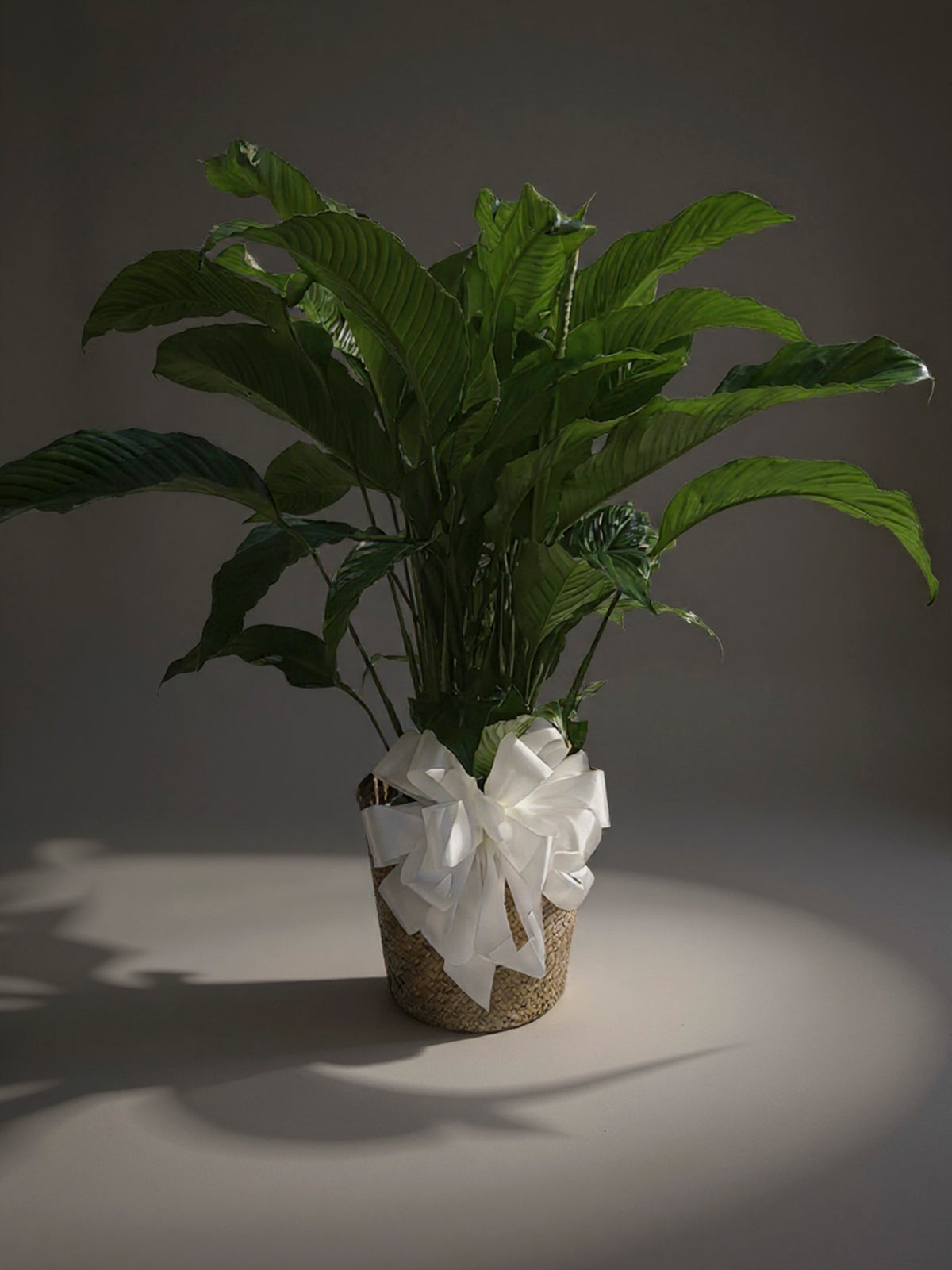 Peace Lily in Basket