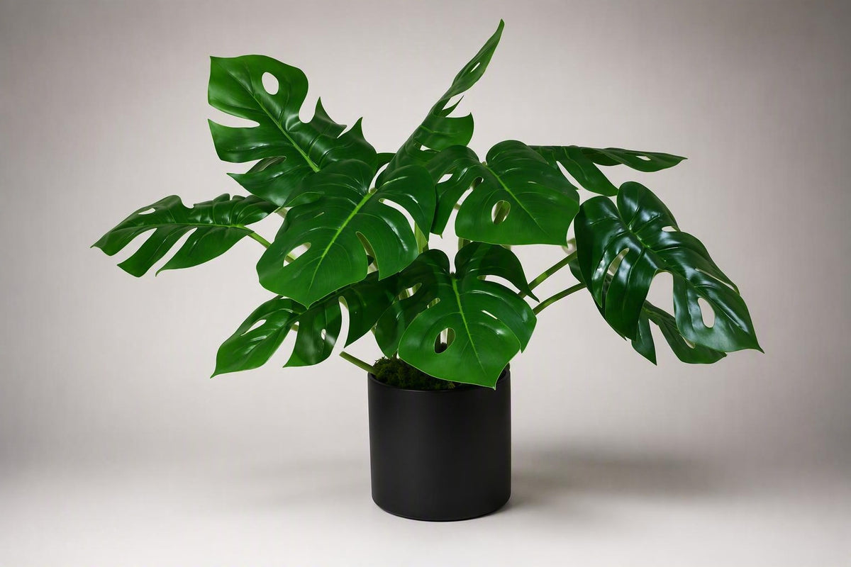 Faux Monstera